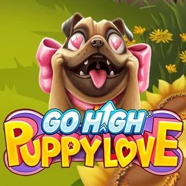 Go High Puppy Love slot logo by RubyPlay at Coin Casino